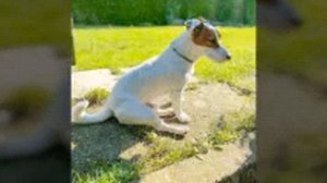 Мевл холодок клип локи бобо ♥