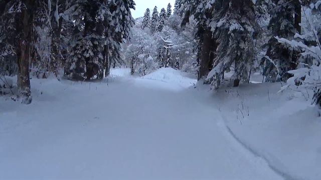 Сезон 2022_Домбай Лесная трасса_19 Декабря 2021 г смотреть онлайн