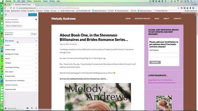 How to Setup Your First Self-Hosted Author Website with WordPress смотреть онлайн