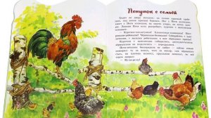 Сказка К.Ушинского  "Петушок с семьей" Воспитатель Белова Т.А .