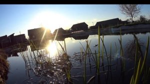 Как сделать пруд - пруд на участке, на даче,в деревне . Мой пруд !!!