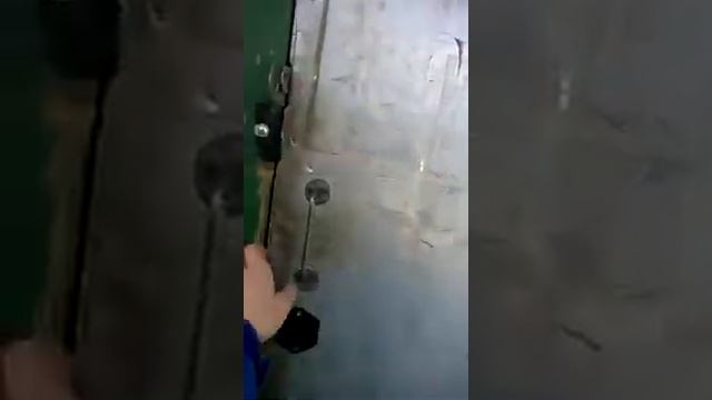 КУРИНОЕ ДЕЛО ПОДСЕЛЕНИЕ НОВЫХ КУР