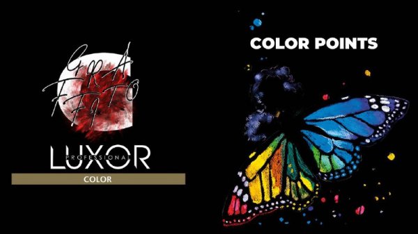 Luxor Professional Color Points жидкие прямые пигменты