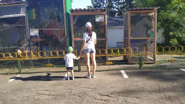 Абаканский зоопарк смотреть онлайн