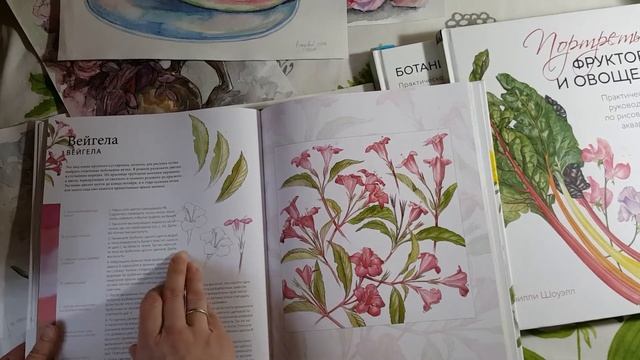 Обзор книг по акварели от МИФа. Ботаническая иллюстрация смотреть онлайн