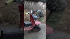 муравей с двигателем от скутера