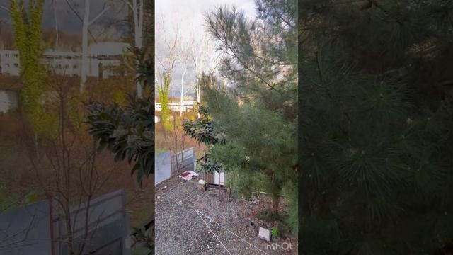 Дом на Гастелло за 14,7? смотреть онлайн