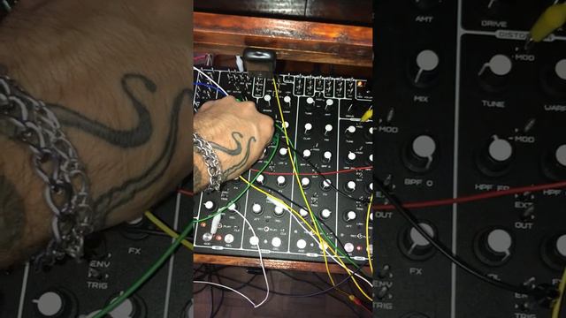 SOMA LAB Pulsar 23/Lyra 8 + ERICA SYNTHS Pico System III + ROLAND TB03/TR08/TR09 + BEHRINGER NEUTRO смотреть онлайн
