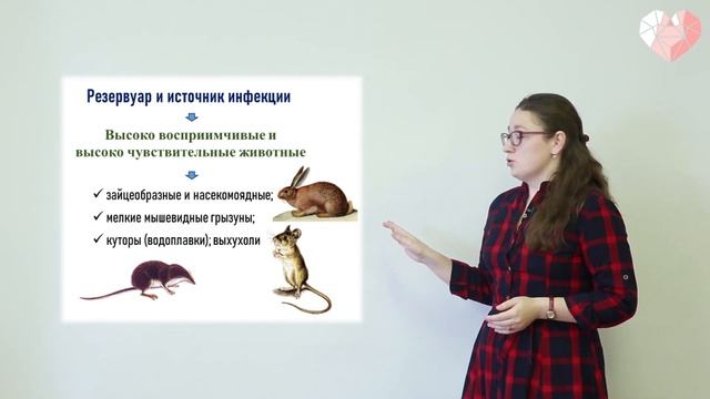 PROСТО О СЛОЖНОМ Туляремия, ч.1, Инфекционные болезни №8 смотреть онлайн
