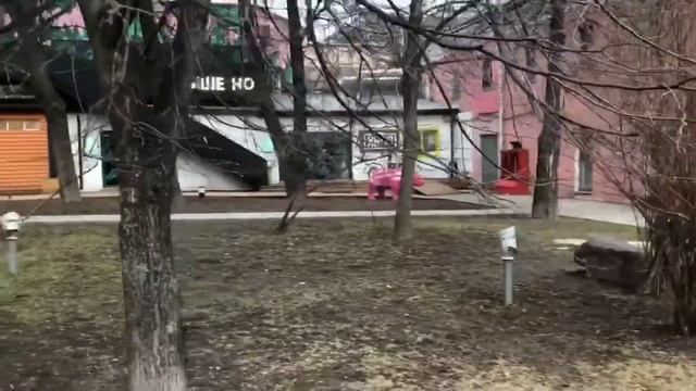 Сад им. Баумана, Москва. Видеообзор парка. смотреть онлайн