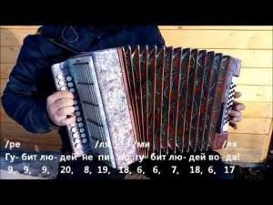 Губит людей не пиво (разбор на гармони)
