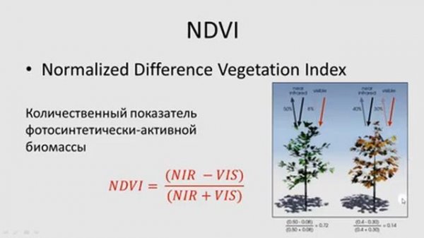 10. SAGA GIS - Интерполяция данных и NDVI. Ординарный и регрессионный кригинг.