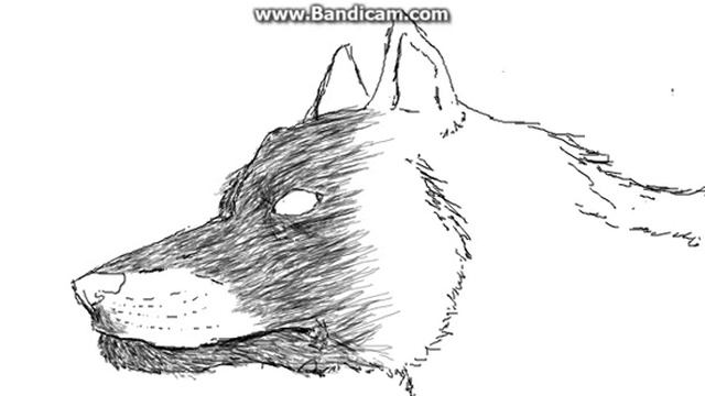 как я рисую себя в виде Волка Cuta Wolf смотреть онлайн