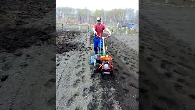 КУТАИСИ СУПЕР 610 смотреть онлайн