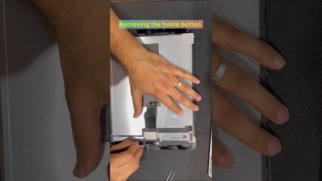 iPad Pro 12.9” 1st Gen Screen Replacement @econoemxit смотреть онлайн