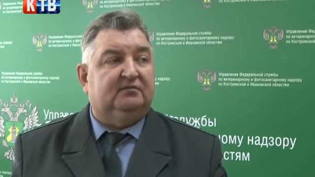 11 02 2020 Кинешемское ТВ Антенна Уваров смотреть онлайн