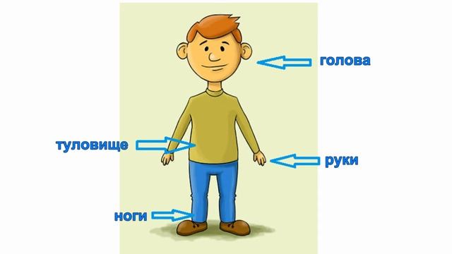Естествознание Тема: Зачем человеку руки? смотреть онлайн