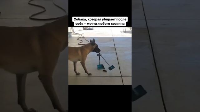 Мечта смотреть онлайн