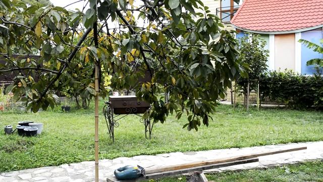 Работа . Работа дома - это праздник смотреть онлайн