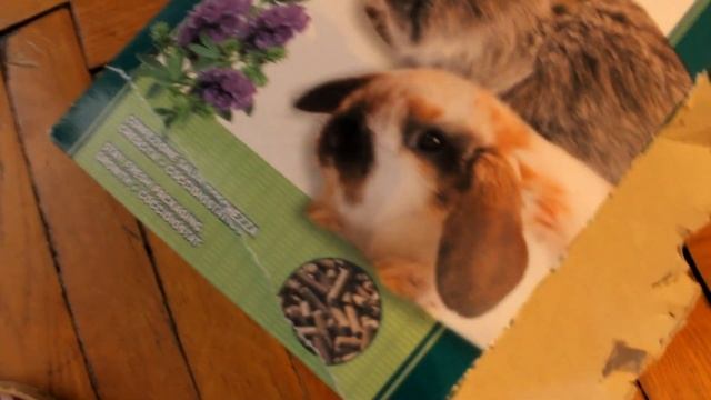 Жучки в корме кролика смотреть онлайн