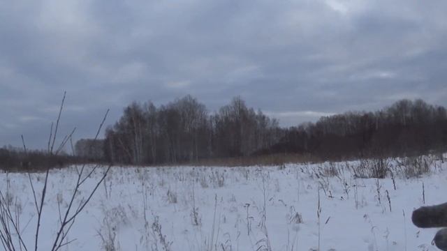 ОХОТА НА ЗАЙЦА на снегоходе январь 2020 года смотреть онлайн