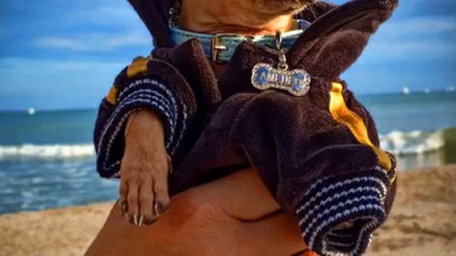 Самая хорошая русская музыка и фото онлайн смотреть онлайн