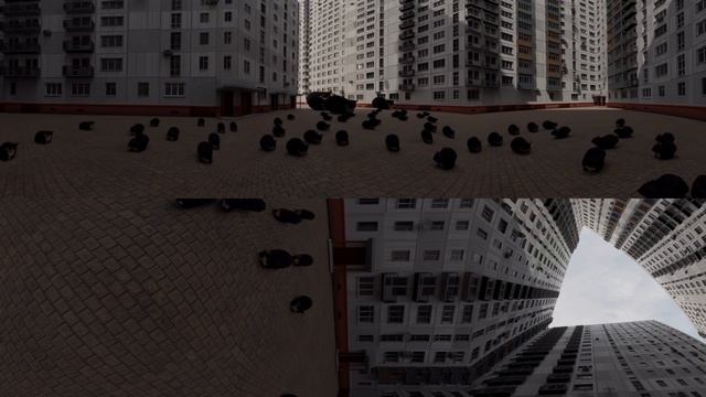 Кот Максвелл танцует в VR 360 смотреть онлайн