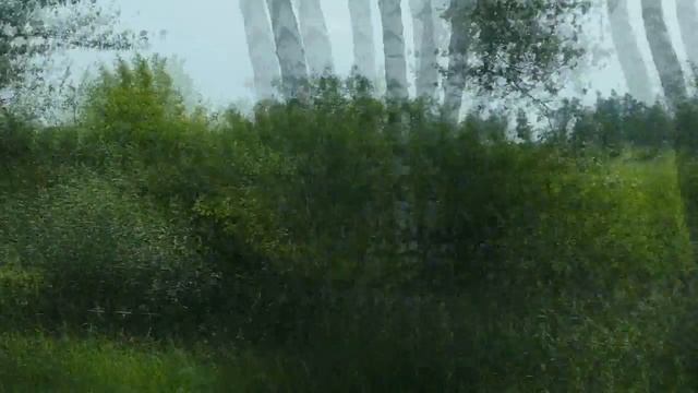 Сцена "едем в загс" отрывок из свад. фильма смотреть онлайн