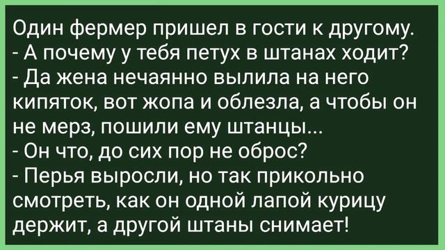 Вовочка Увидел Санитарку без Трусов! Сборник Свежих Смешных Жизненных Анекдотов! смотреть онлайн