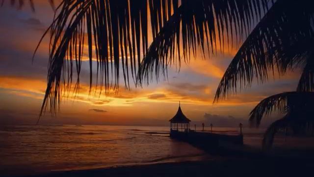 HighGrade Riddims - Cool Breeze смотреть онлайн
