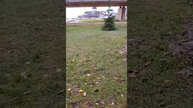 Россия, г. Псков, река Великая, ноябрь 2020 года смотреть онлайн