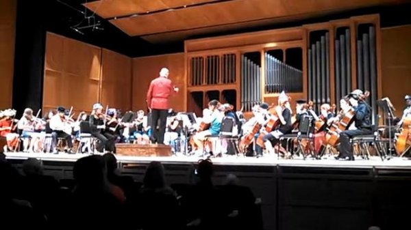 Sinfonia Veneziana - Chamber Orchestra