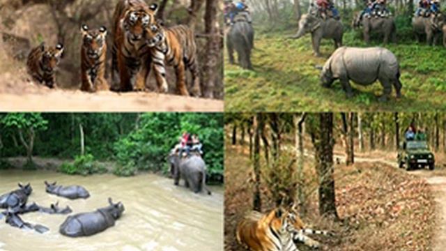 Valmiki National Park | Wikipedia audio article смотреть онлайн