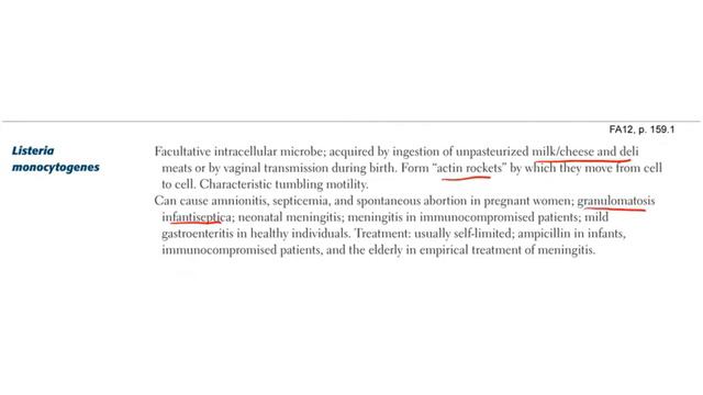 5 Microbiology CLINICAL Bacteriology Part 2 смотреть онлайн