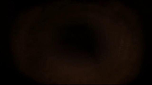 Blackbay Asylum: Giant Bomb Quick Look смотреть онлайн