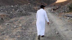 Как выращивают финики в Саудовской Аравии | مزرعة النخل