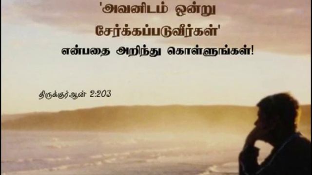 திருக்குர்ஆன் 2:203 | Quran 2:203 смотреть онлайн