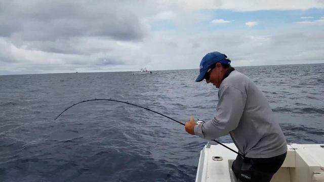 action of 6'3" Black Hole Cape Cod Slow Pitch rod for 100 lb tuna смотреть онлайн