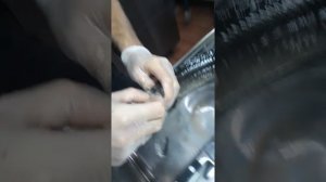 Удаление визиги у осетра через хвост