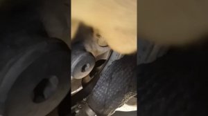 Датчик включения вентилятора Ford Transit 2004 г. (2 0)