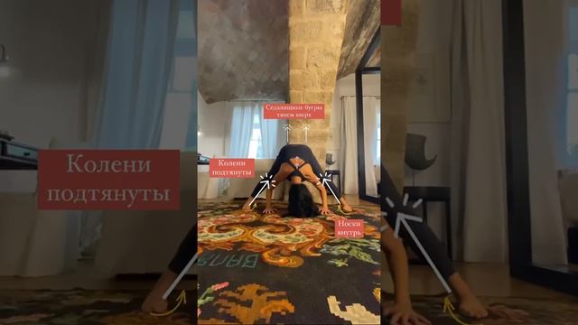 12 базовых асан для начинающих. Прасарита паддотанасана. смотреть онлайн