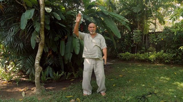 Long Life Qigong Exercise - Sunshine Spreads its Light смотреть онлайн