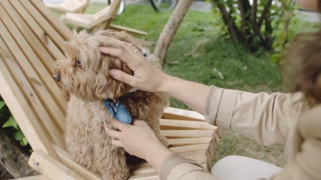 Карта желаний Be Happy. Доска визуализации смотреть онлайн