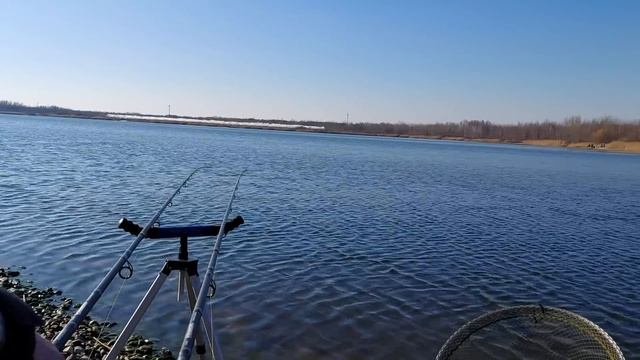 Ловля карася ранней весной на фидер. Карась на фидер. Ловля карася на фидер в марте. смотреть онлайн