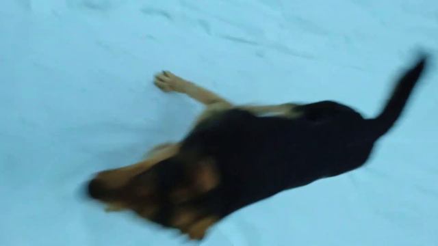 тоже старое видео декабрь 21 года смотреть онлайн