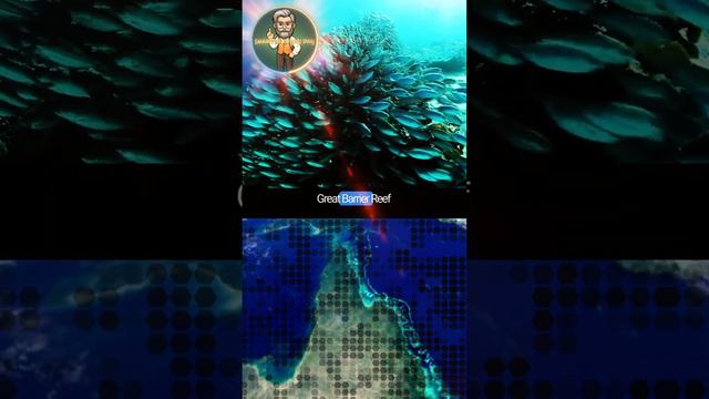 The Amazing Coral Reef can bee seeing from space! смотреть онлайн