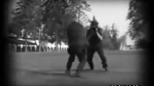 Тренировка Тигры Аркана. смотреть онлайн