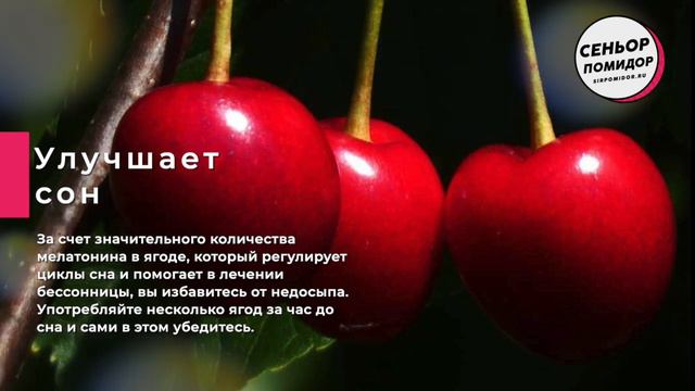 5 причин есть черешню каждый день! смотреть онлайн