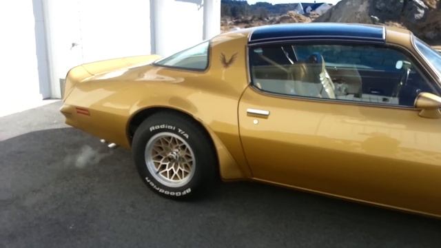 1978 Pontiac Trans Am Gold Special Edition смотреть онлайн