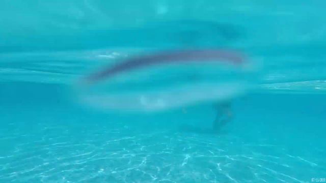 Hotel Hrizantema 4* Sunny Beach (Болгария июль 2018 г.) смотреть онлайн